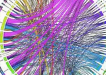 First Extended Service Corporation