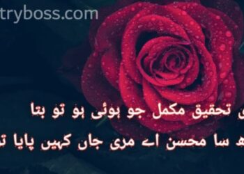 2 Line Urdu Poetry