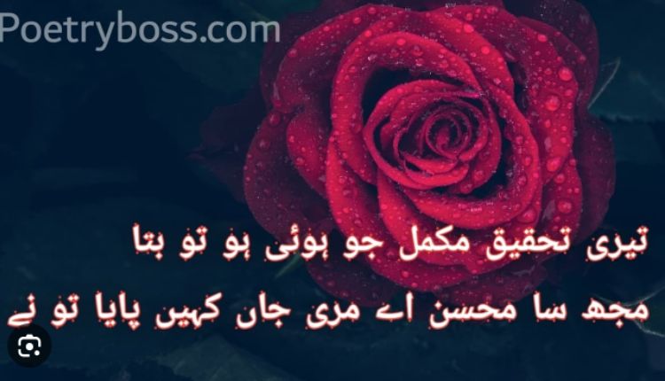 2 Line Urdu Poetry