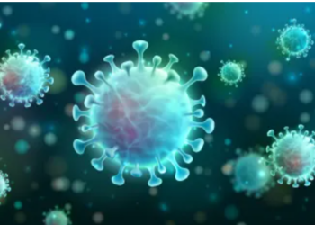 A Day in the Life of an Oral Surgeon