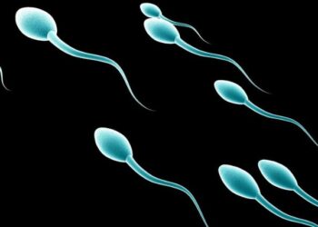 The Science Behind Infertility: Insights from a Specialist
