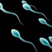 The Science Behind Infertility: Insights from a Specialist
