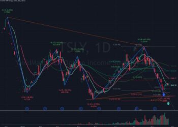 The YieldMax TSLA Option Income Strategy ETF (TSLY)