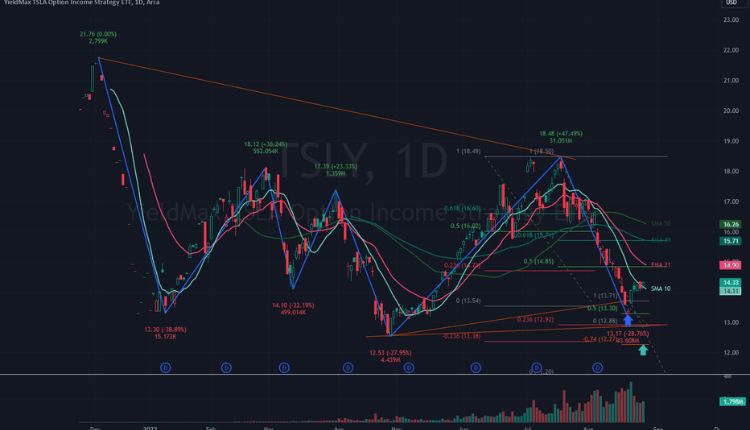 The YieldMax TSLA Option Income Strategy ETF (TSLY)