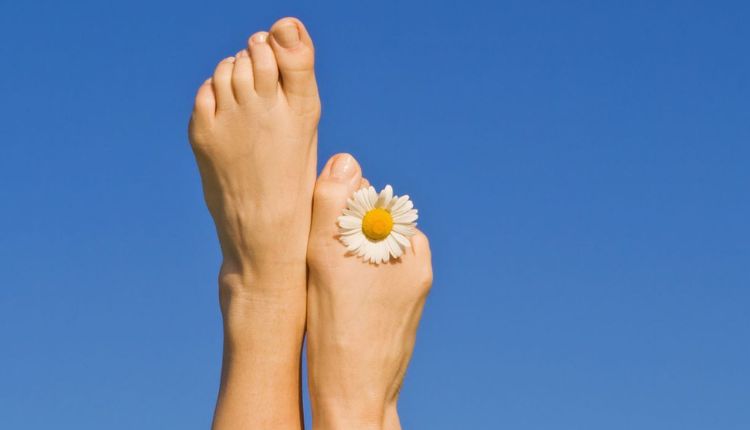 Understanding the importance of regular dental checkups