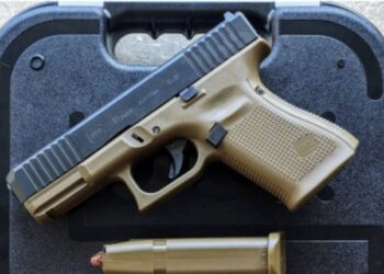 Why Buy a Glock 19?